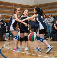 Palota Röplabda Sport Club