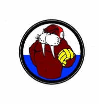 Vízilabda